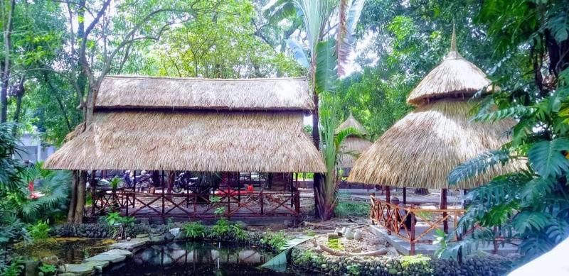 Mẫu nhà lá cỏ tranh