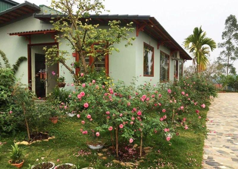 Mẫu sân vườn đẹp theo phong cách Tropical