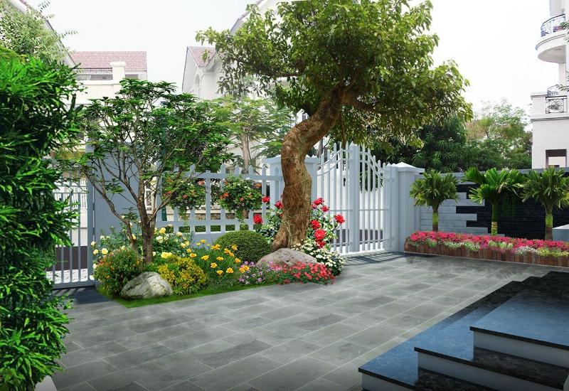 Khi thiết kế sân vườn nên chọn một loại cây làm chủ đạo