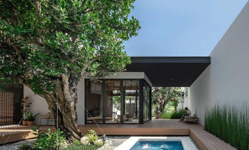 Tạo sự cân đối hài hòa