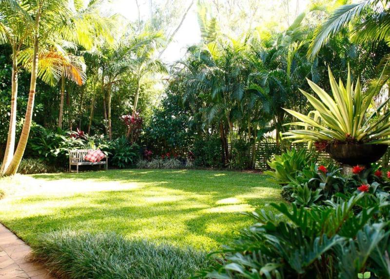 Thiết kế sân vườn cần ưu tiên sự đơn giản