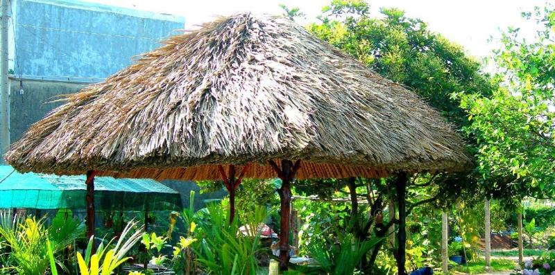 Mẫu nhà lá sân vườn miền Tây kết hợp cây ăn quả và cây cảnh