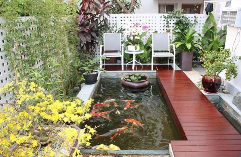 Bố trí hồ cá kết hợp sân vườn trước nhà cấp 4 giúp căn nhà hài hòa hơn