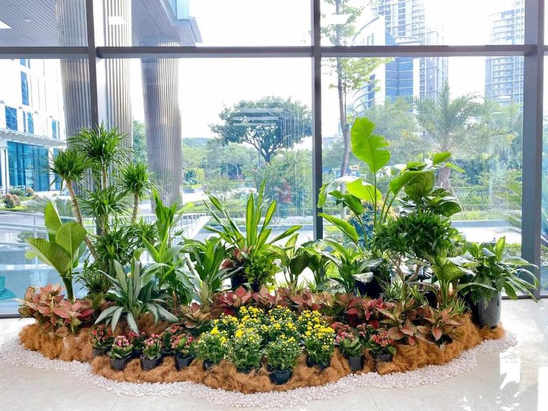 Mẫu tiểu cảnh sân vườn mini trong nhà được nhiều gia chủ yêu thích