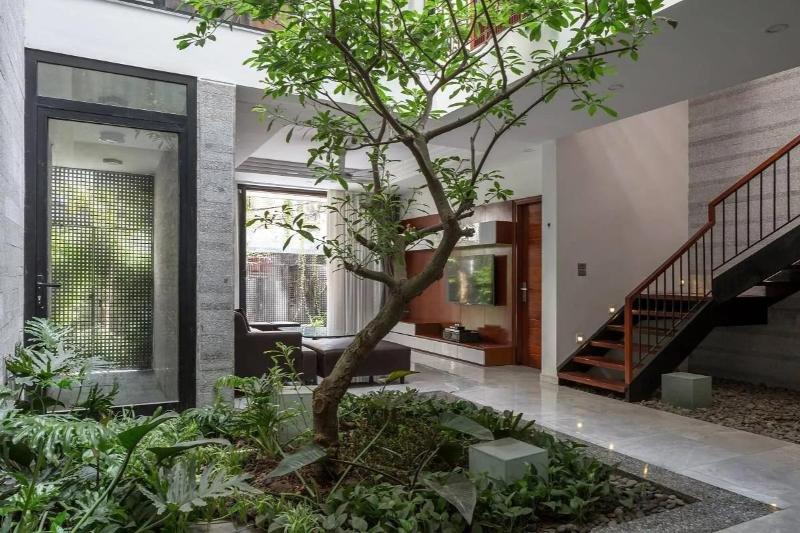 Mẫu tiểu cảnh sân vườn mini trong nhà sử dụng các loại cây ưa bóng, đá trang trí và nước chảy