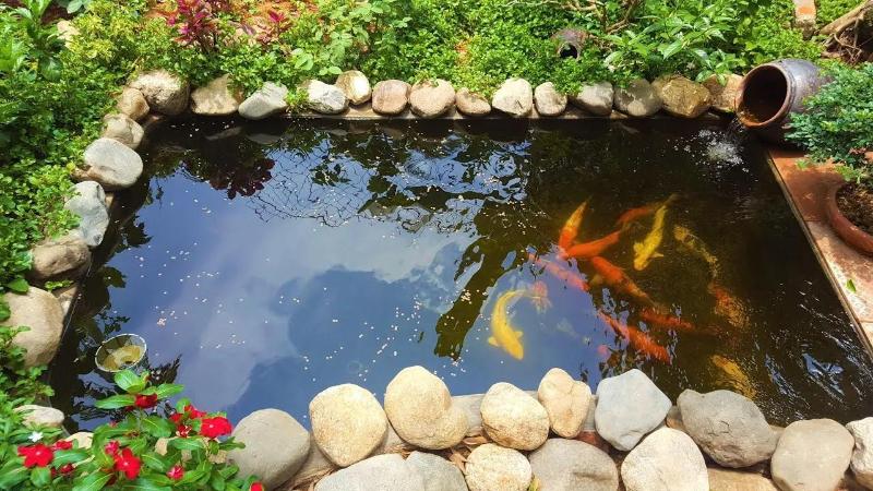 Kết hợp thêm đá tự nhiên, cây xanh và hệ thống lọc nước đơn giản cho tiểu cảnh