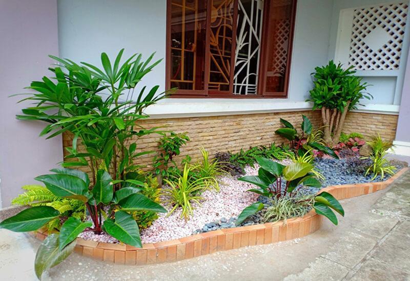 Mẫu tiểu cảnh sân vườn mini kết hợp giếng trời lấy sáng