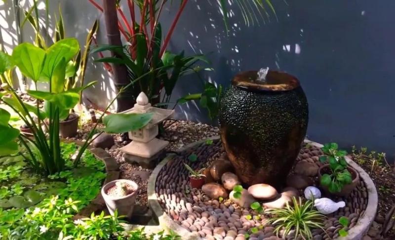 Chọn cây trồng khỏe mạnh cho tiểu cảnh sân vườn mini