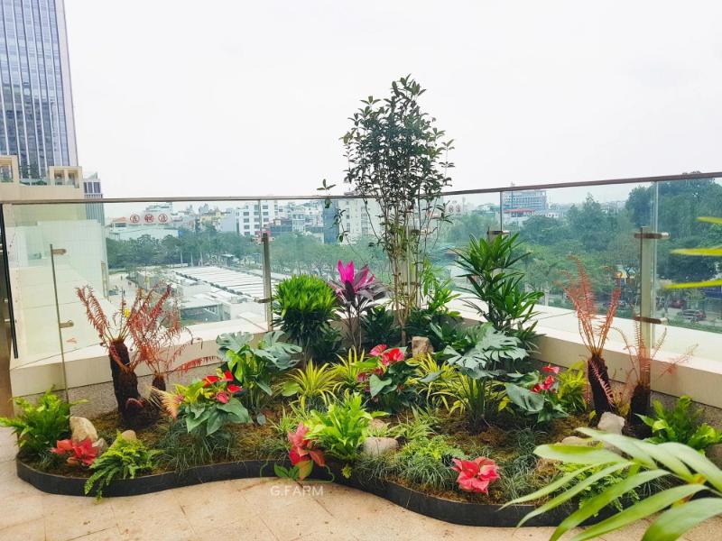 Phòng ngừa côn trùng cho không gian tiểu cảnh sân vườn mini