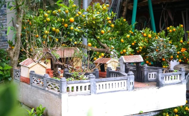 Các chi tiết tạo điểm nhấn như sỏi, đá kết hợp với đèn trang trí